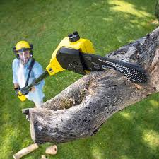 Best Lawn Irrigation Installation and Maintenance  in Citrus Heights, CA